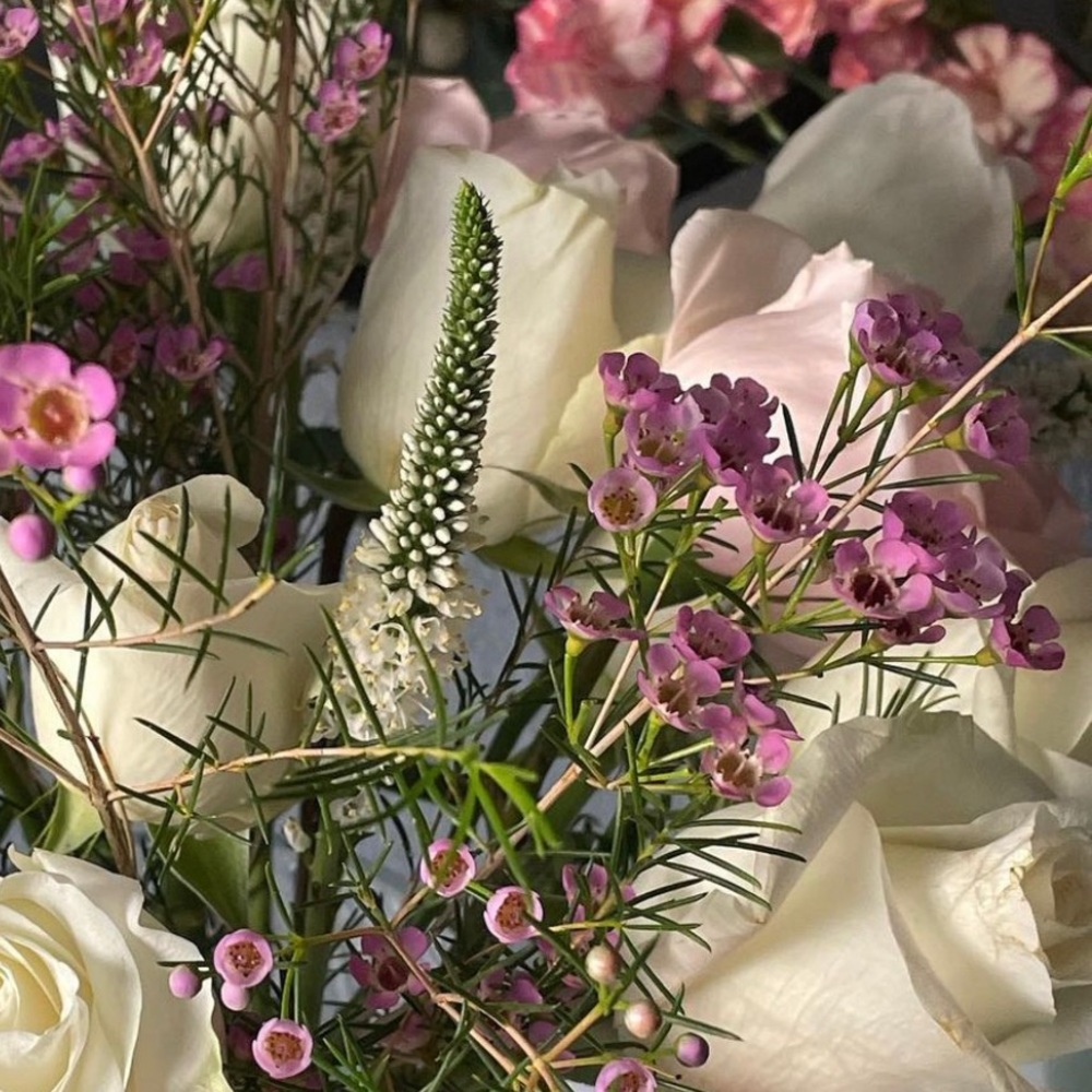 Meet your Posher, Venus-Closet!